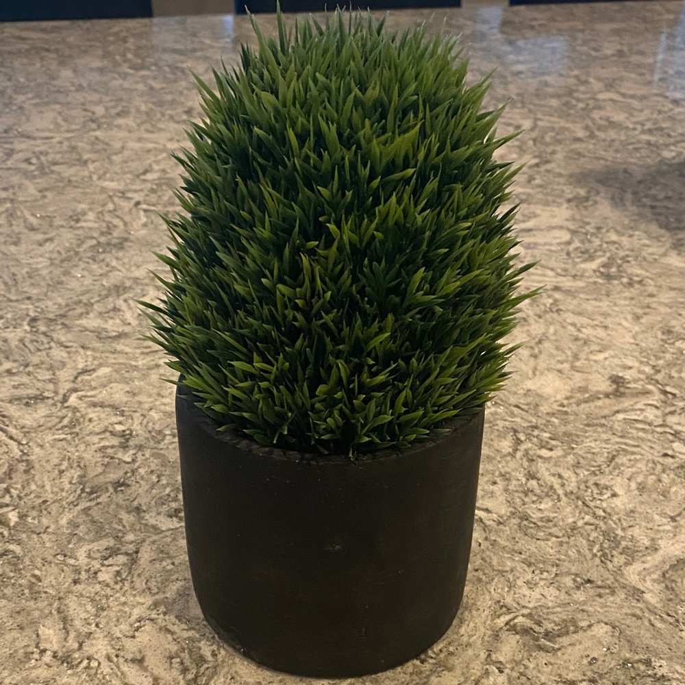Lush Green Faux Plant in Black Pot